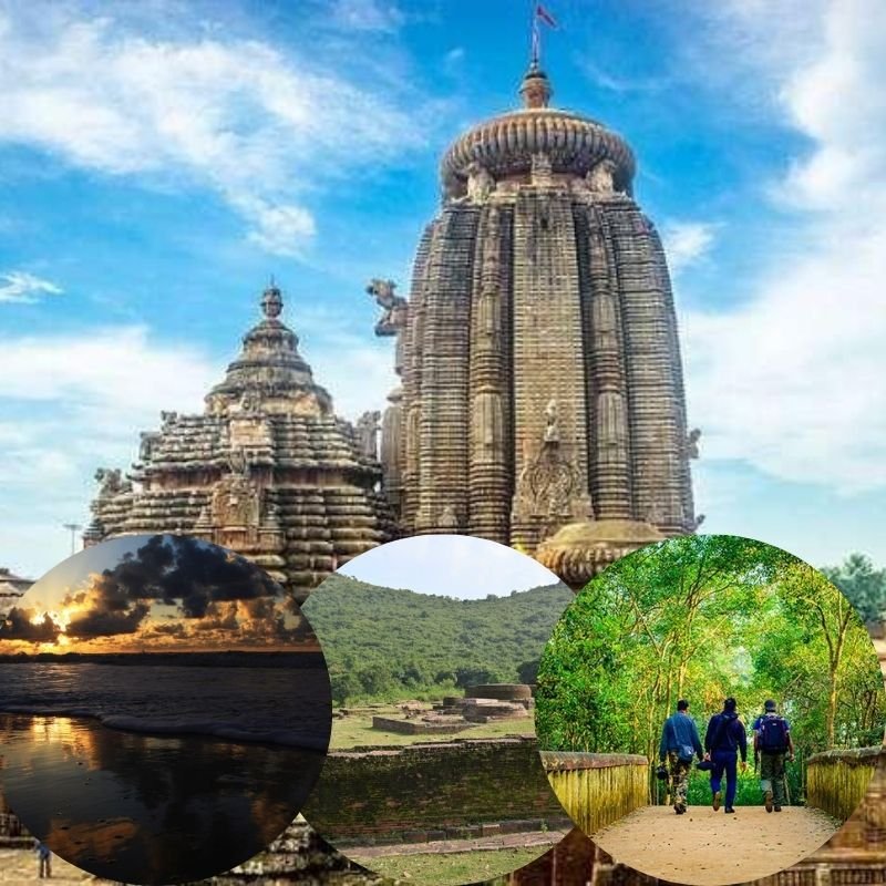 Odisha Wildlife, Temple & Coastal Tour Package for 7 Days