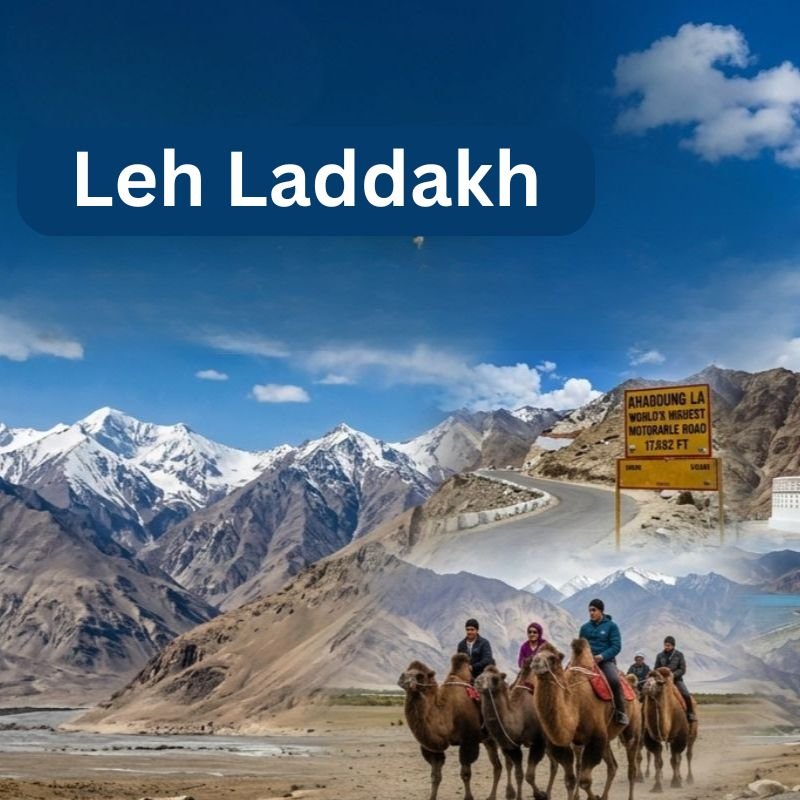 Ladakh Tour Package 5 Nights 6 Days | Leh Nubra Pangong Trip